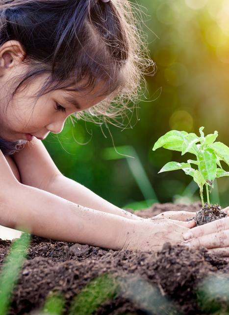 Sustainability_KV