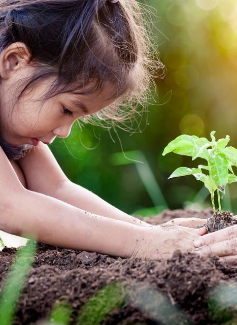 Sustainability_KV
