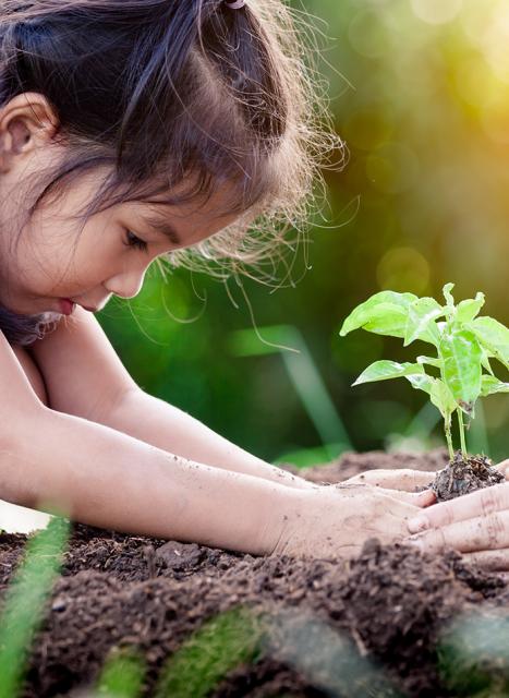 Sustainability_KV