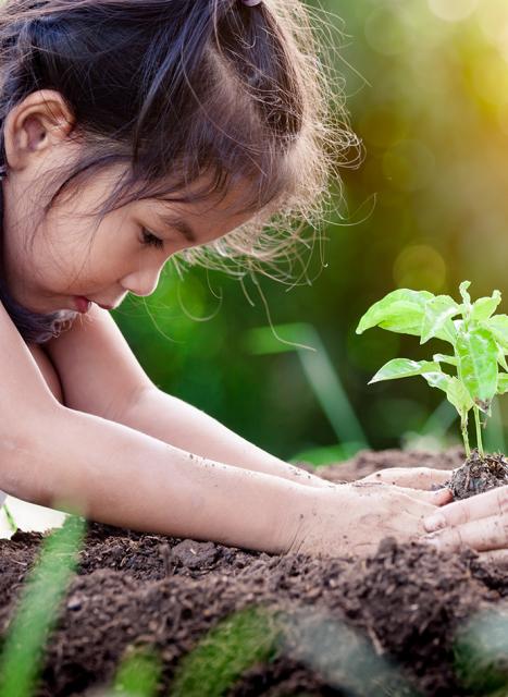 Sustainability_KV