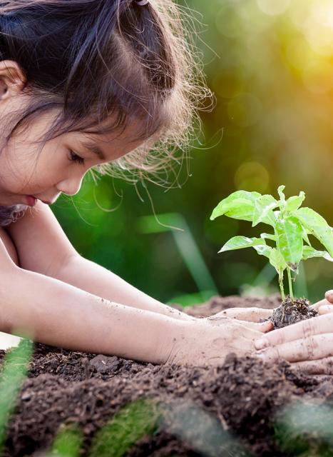 Sustainability_KV