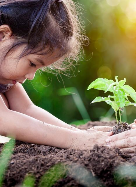 Sustainability_KV