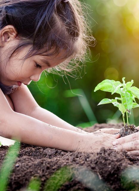 Sustainability_KV