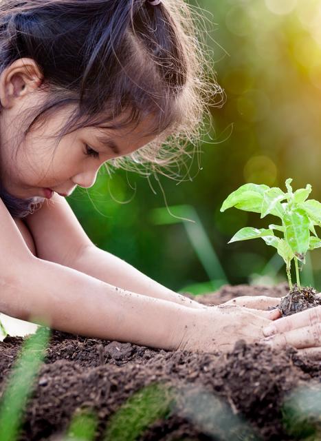 Sustainability_KV