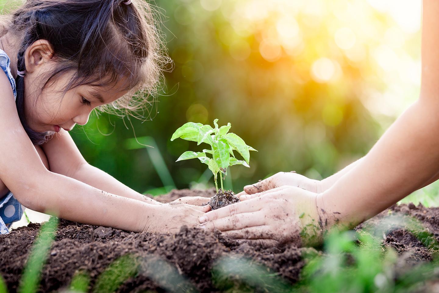 Sustainability_KV
