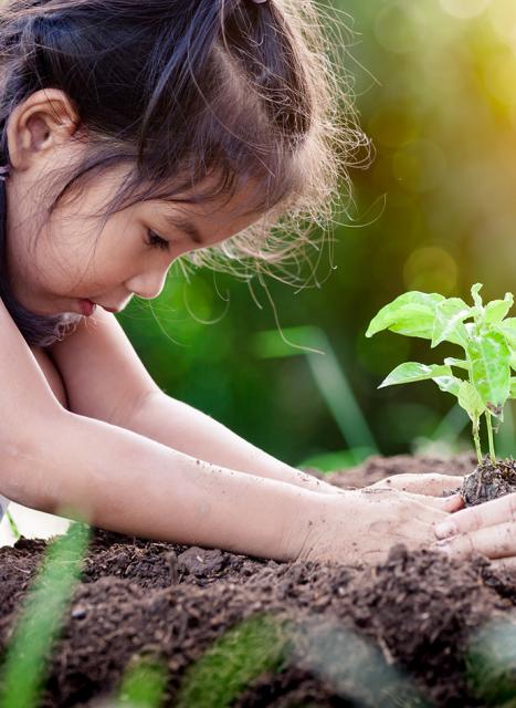 Sustainability_KV