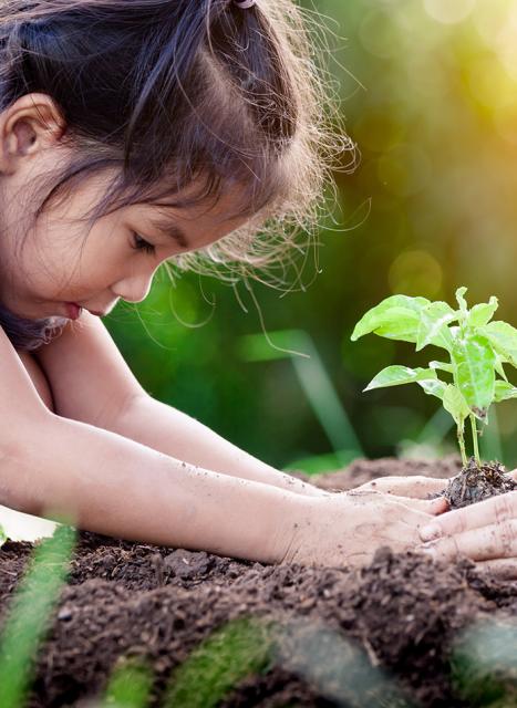 Sustainability_KV