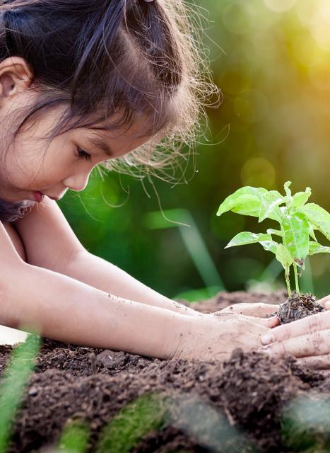 Sustainability_KV