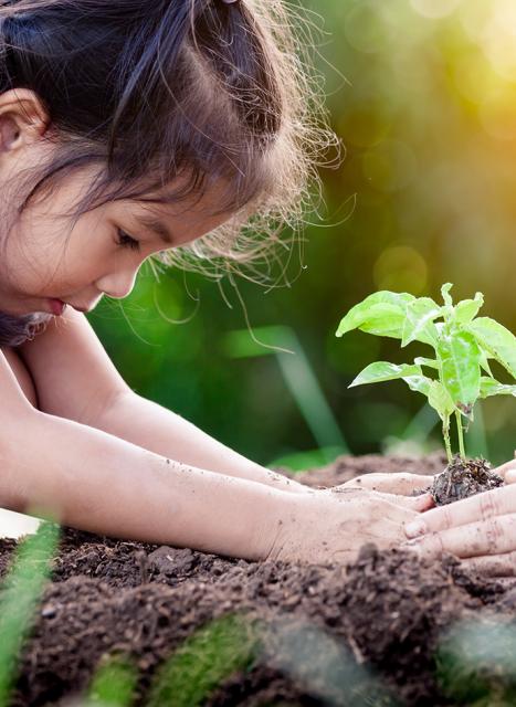Sustainability_KV