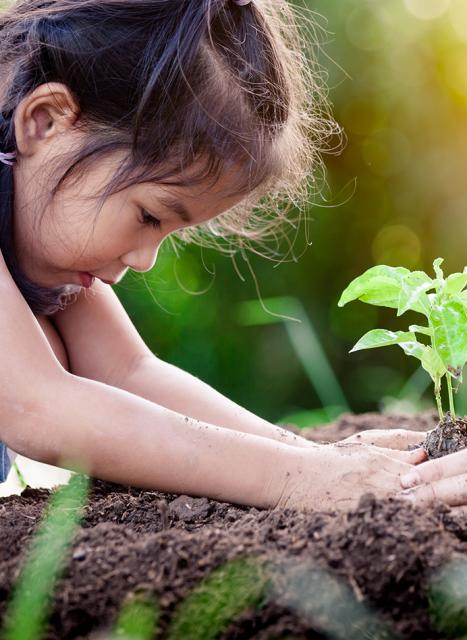 Sustainability_KVgl